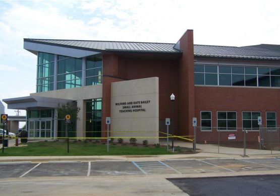 Auburn University Small Animal Teaching Center